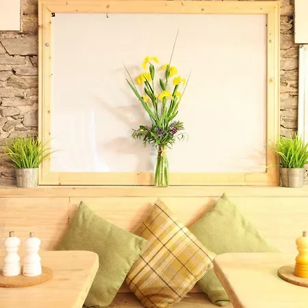 Hostel Boutique & Moville